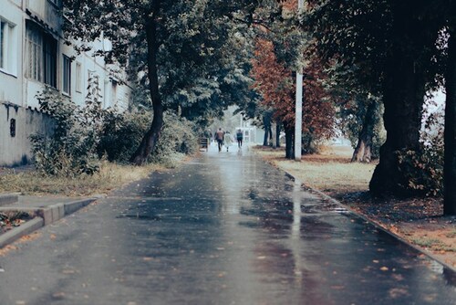 Canh En Nguyen Si Kha • Rainy Day Memories • 2023